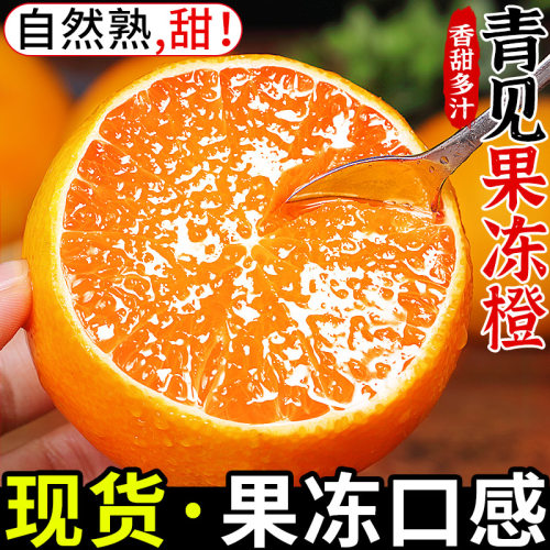 精品！青见爱媛果冻橙！果冻口感