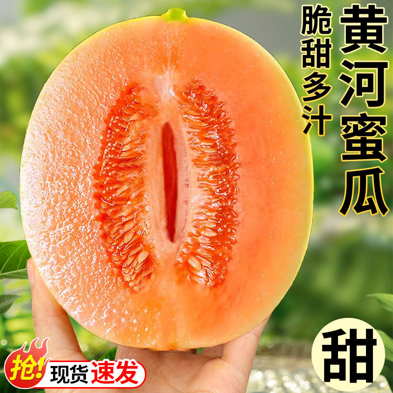 正宗黄河蜜瓜甜瓜新鲜水果当季脆香甜沙漠黄金哈密瓜民勤大果整箱