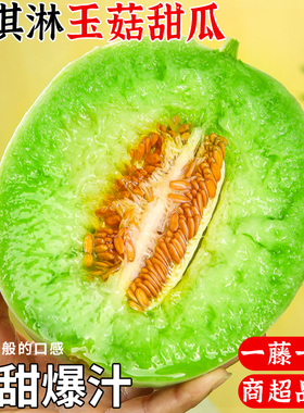 海南冰淇淋玉菇甜瓜当季整箱新鲜水果现摘小香瓜蜜瓜羊角甜瓜白瓜