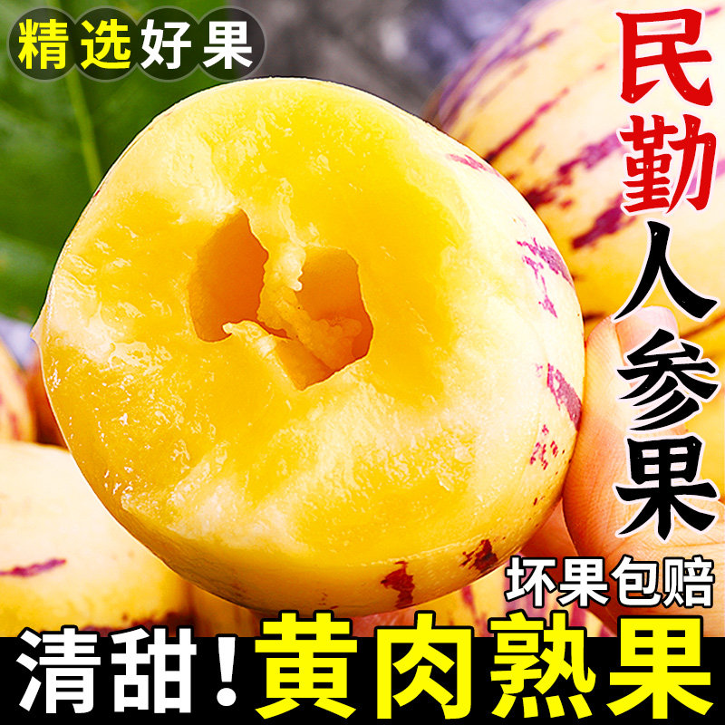 甘肃民勤沙漠人参果当季新鲜水果现摘黄肉人生长果树上熟大果整箱