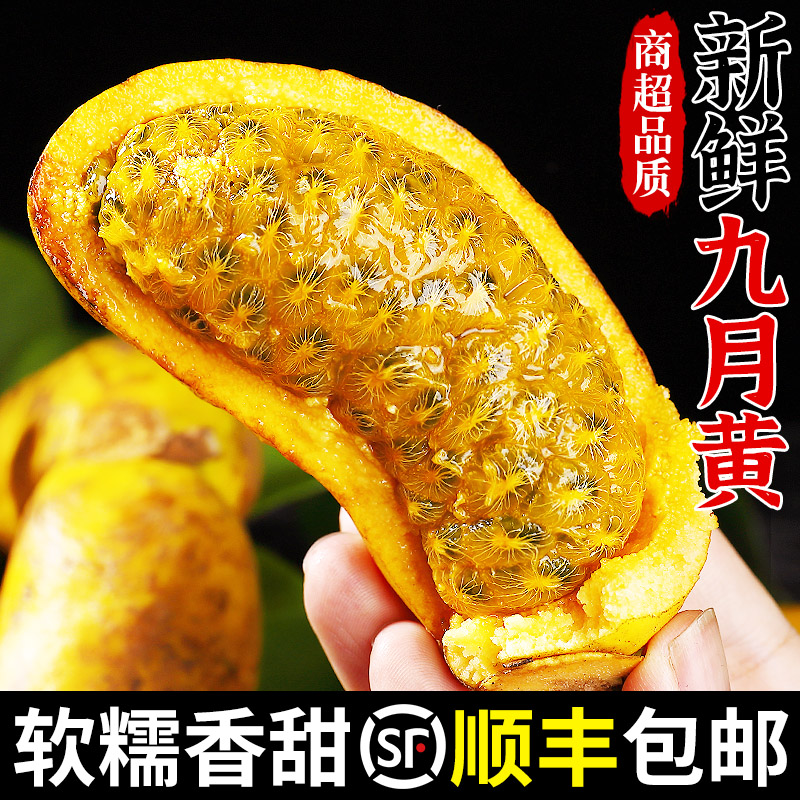 九月黄甜瓜!软糯香甜!细腻嫩滑!