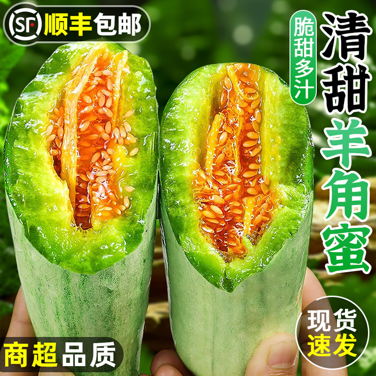 果园现摘!羊角蜜甜瓜!甜蜜多汁