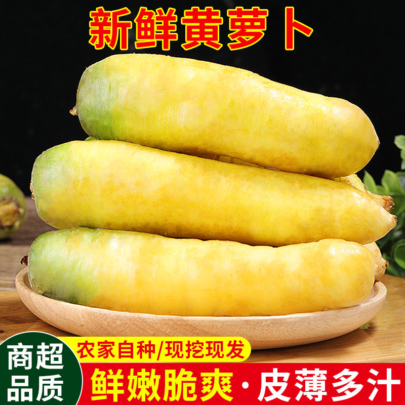 新鲜黄萝卜农家自种水果应当季现拔胡萝卜手抓饭黄心萝卜蔬菜特产,水产肉类/新鲜蔬果/熟食,萝卜/胡萝卜,淘宝优惠券,粉丝福利购,淘宝优惠卷