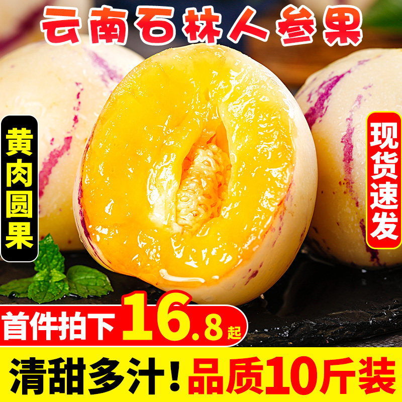 云南石林人参果10斤大果新鲜人叁果水果七彩黄肉圆果人生果包邮5,水产肉类/新鲜蔬果/熟食,人参果,淘宝优惠券,粉丝福利购,淘宝优惠卷