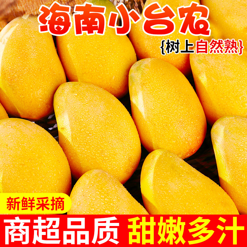 精选品质丨海南小台农芒果丨现摘