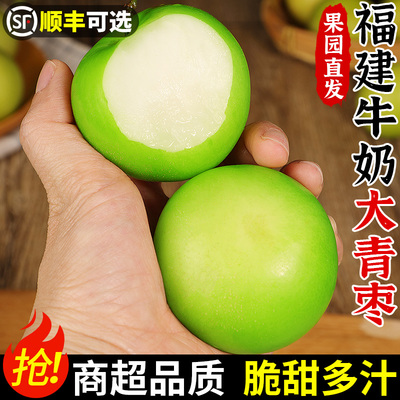 商超品质果！牛奶大青枣！自然熟