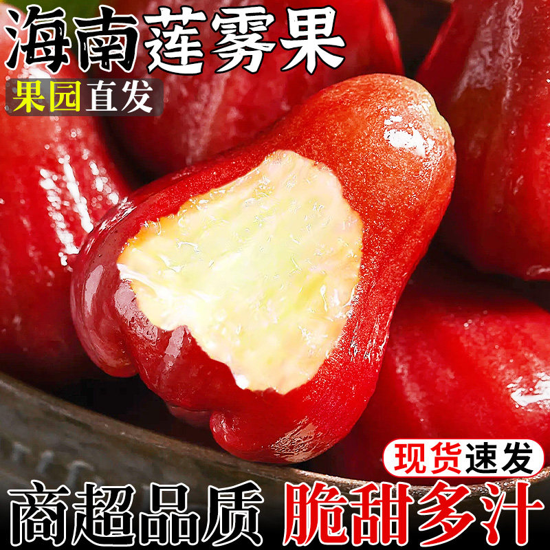 海南莲雾果5斤新鲜水果当季现摘整箱红宝石连雾果雾连黑金刚包邮3