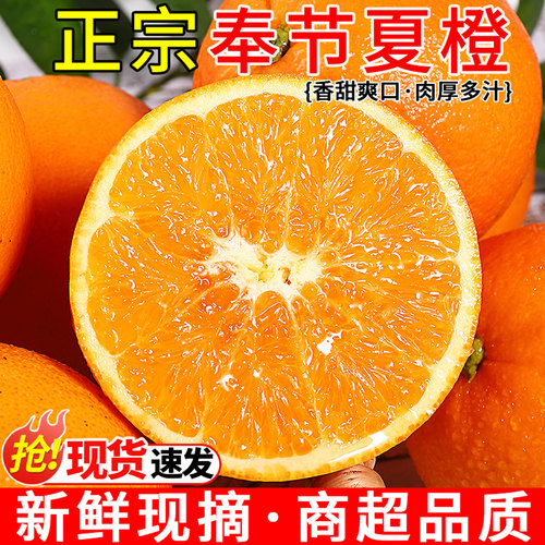 【果园直发】现摘奉节夏橙！甜！