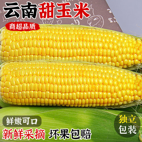 现摘现发！云南新鲜水果甜玉米！