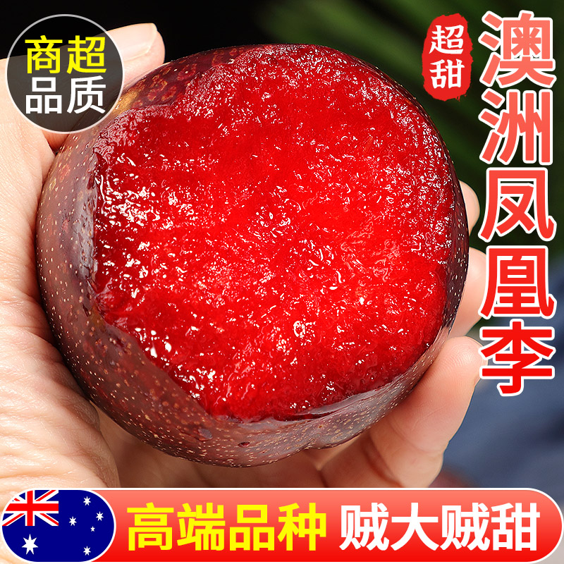 澳洲凤凰李！李子届天花板！脆甜