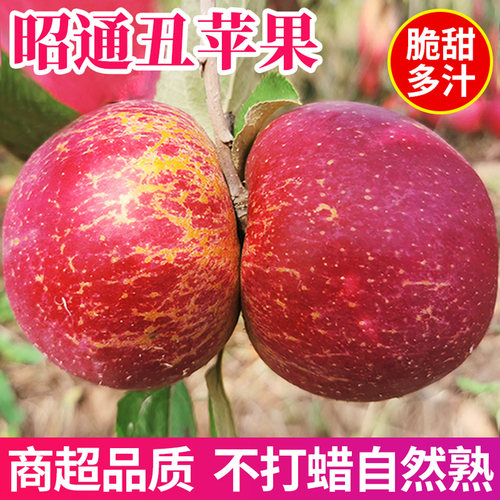 【自然熟不打蜡】冰糖心丑苹果