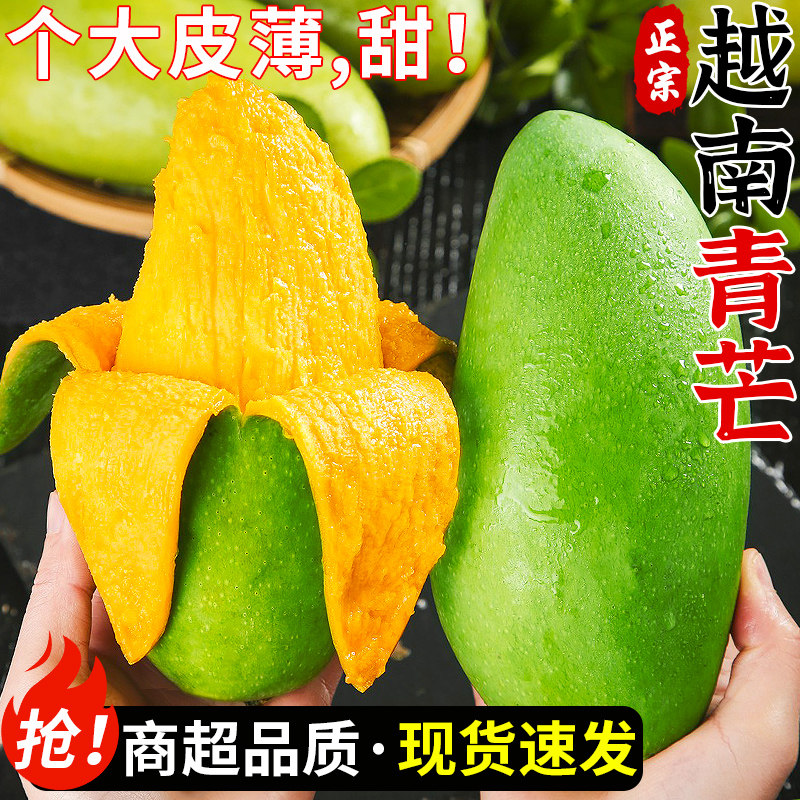 正宗越南大青芒当季新鲜水果现摘整箱青皮金煌甜心芒孕妇大果包邮