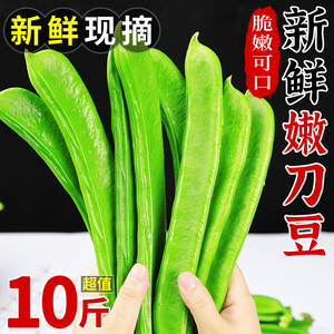 新鲜刀豆10斤嫩豆角当季农家自种现摘蔬菜四季青豆扁豆角整箱包邮
