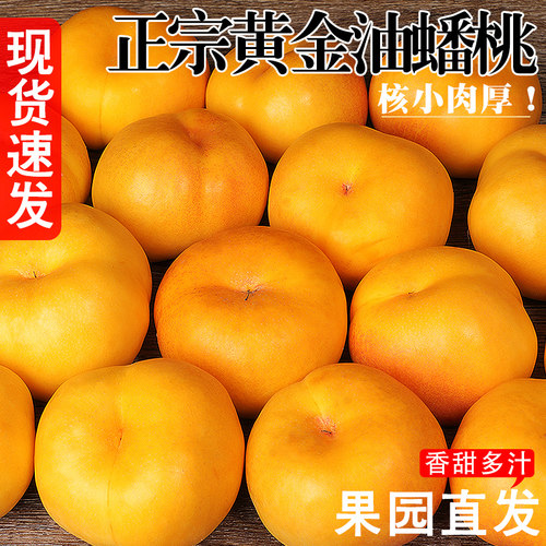 【精选品质】正宗黄金油蟠桃！