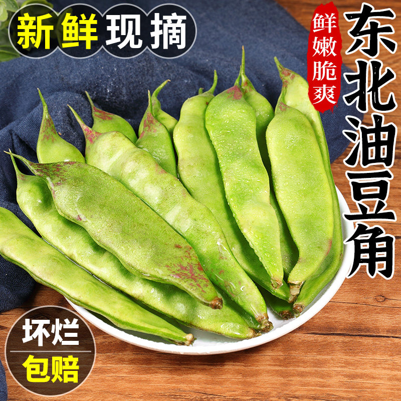 东北油豆角现摘新鲜蔬菜当季一点红油豆角九月青宽豆角黑龙江包邮