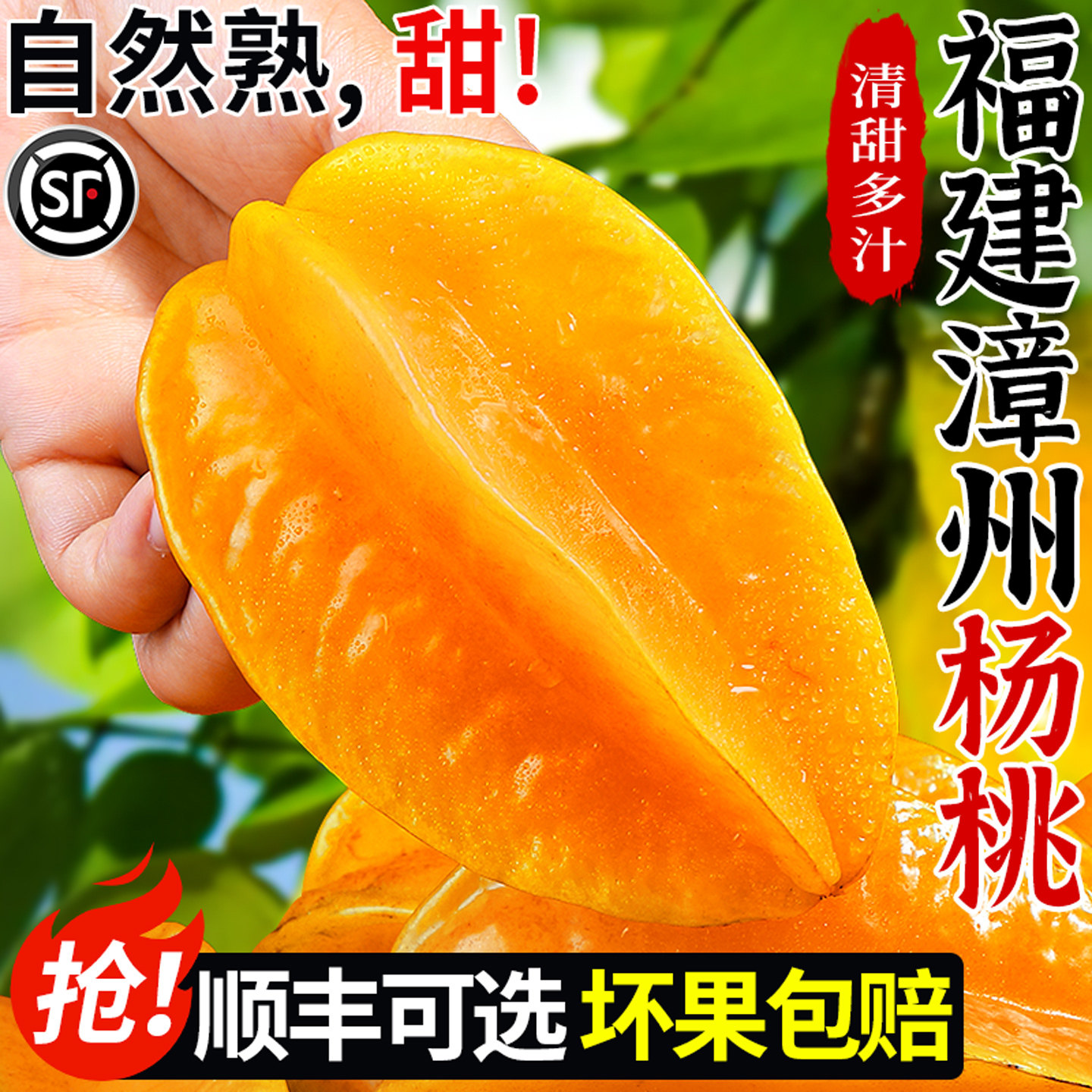 【树上自然熟】福建漳州杨桃!