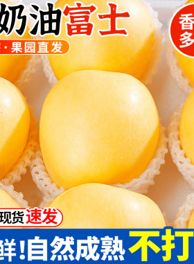 山东黄金奶油富士苹果当季正宗烟台脆甜奶油苹果新鲜水果整箱包邮