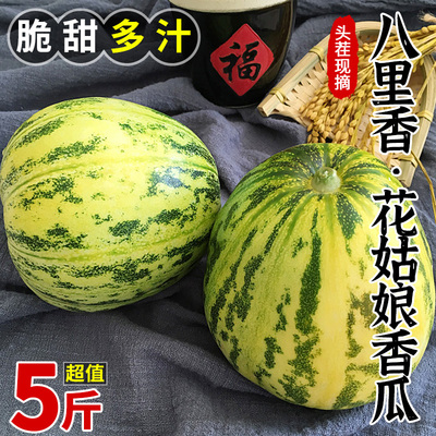 【精选品质】八里香花姑娘香瓜！