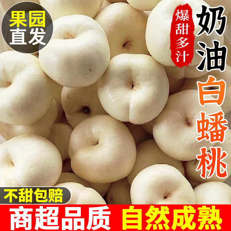 桃中贵族!正宗奶油蟠桃！爆甜！
