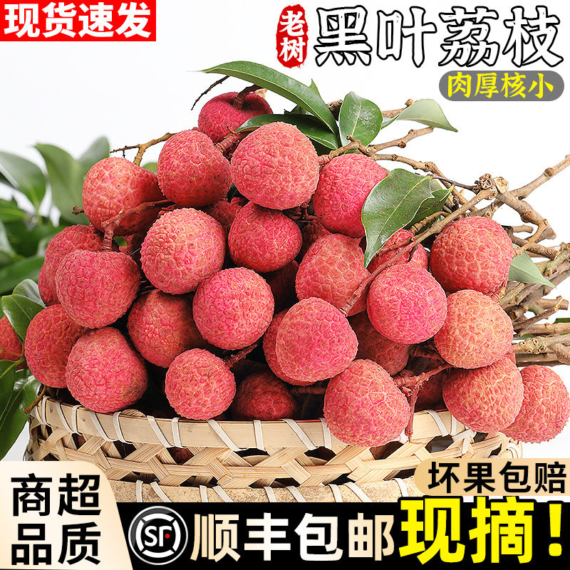 顺丰广东茂名黑叶荔枝5斤老树大果当季新鲜白糖荔枝现摘现发包邮3