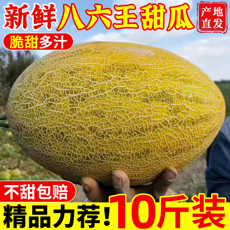 精選品質！八六王甜瓜！脆甜爽口