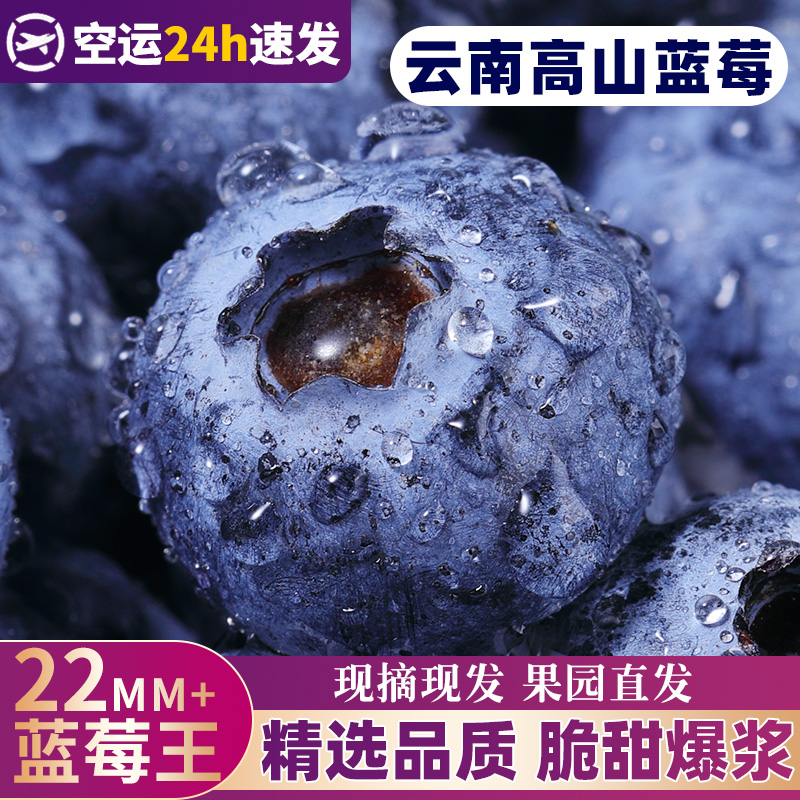 【热卖推荐】云南高山蓝莓！现摘