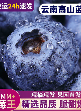 云南高山蓝莓鲜果当季怡颗蓝莓高山L25花香新鲜水果现摘整箱顺丰3
