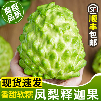 【顺丰速发】凤梨释迦果！软滑