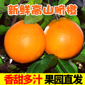 江西赣南脐橙10斤应当季新鲜橙子正宗果冻橙手剥冰糖甜橙整箱包邮