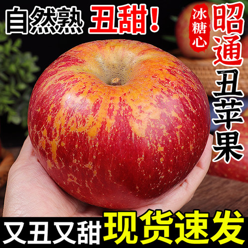 脆甜昭通丑苹果！不打蜡带皮吃！