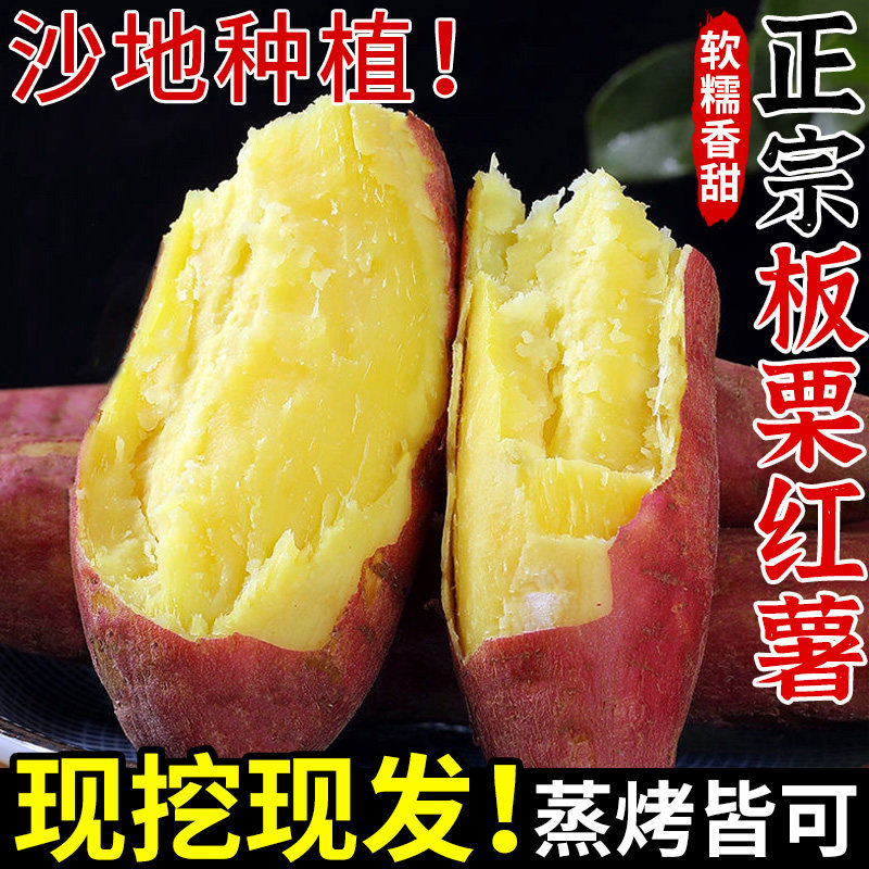 【正宗板栗红薯】粉糯香甜!现挖