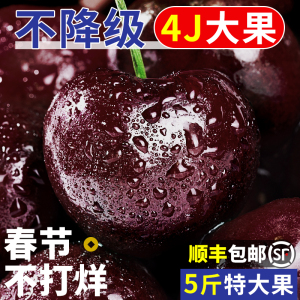 智利车厘子5斤新鲜水果当季整箱3jjjj进口礼盒大樱桃孕妇顺丰包邮