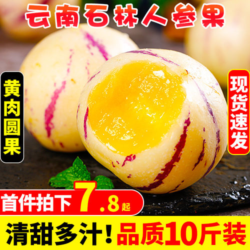 树上自然熟丨石林人参果丨真圆果