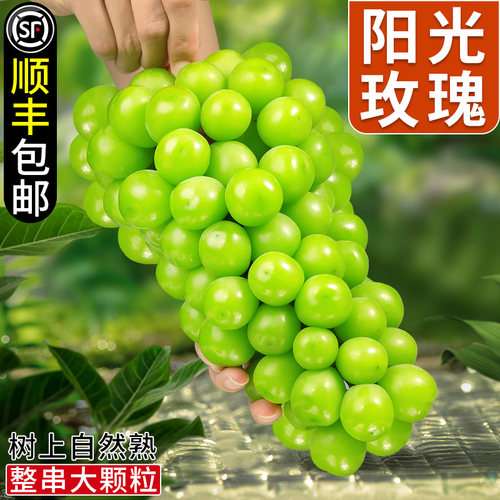 顺丰速发！现摘阳光玫瑰！脆甜！