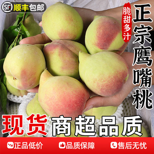 现摘现发!连平鹰嘴桃!脆甜爽口