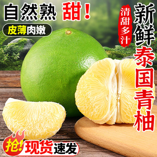 泰国进口青柚新鲜柚子水果当季现摘蜜柚白心甜柚青皮金柚大果整箱