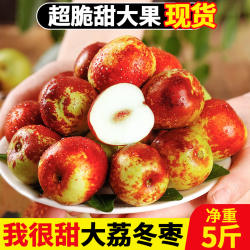 正宗陕西大荔冬枣鲜枣5斤新鲜水果当季现摘脆甜大枣礼盒整箱包邮3