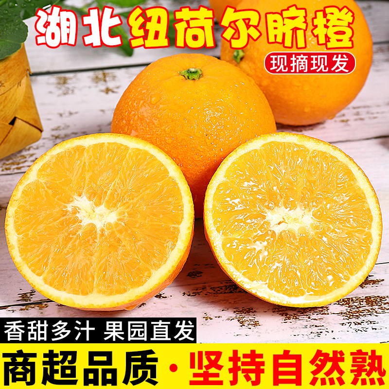 正宗纽荷尔脐橙！香甜多汁！现摘