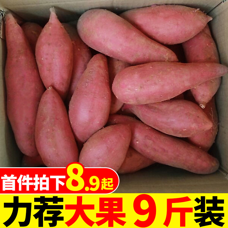 新鲜红薯9斤装农家红蜜薯甜心板栗薯地瓜糖心番薯山芋沙地红薯10