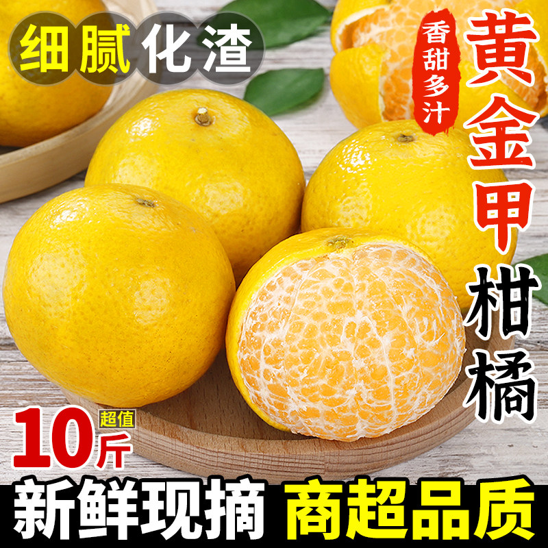 黄金甲柑橘10斤橘子新鲜水果当季正宗皇帝蜜柑橘黄肉桔子大果包邮