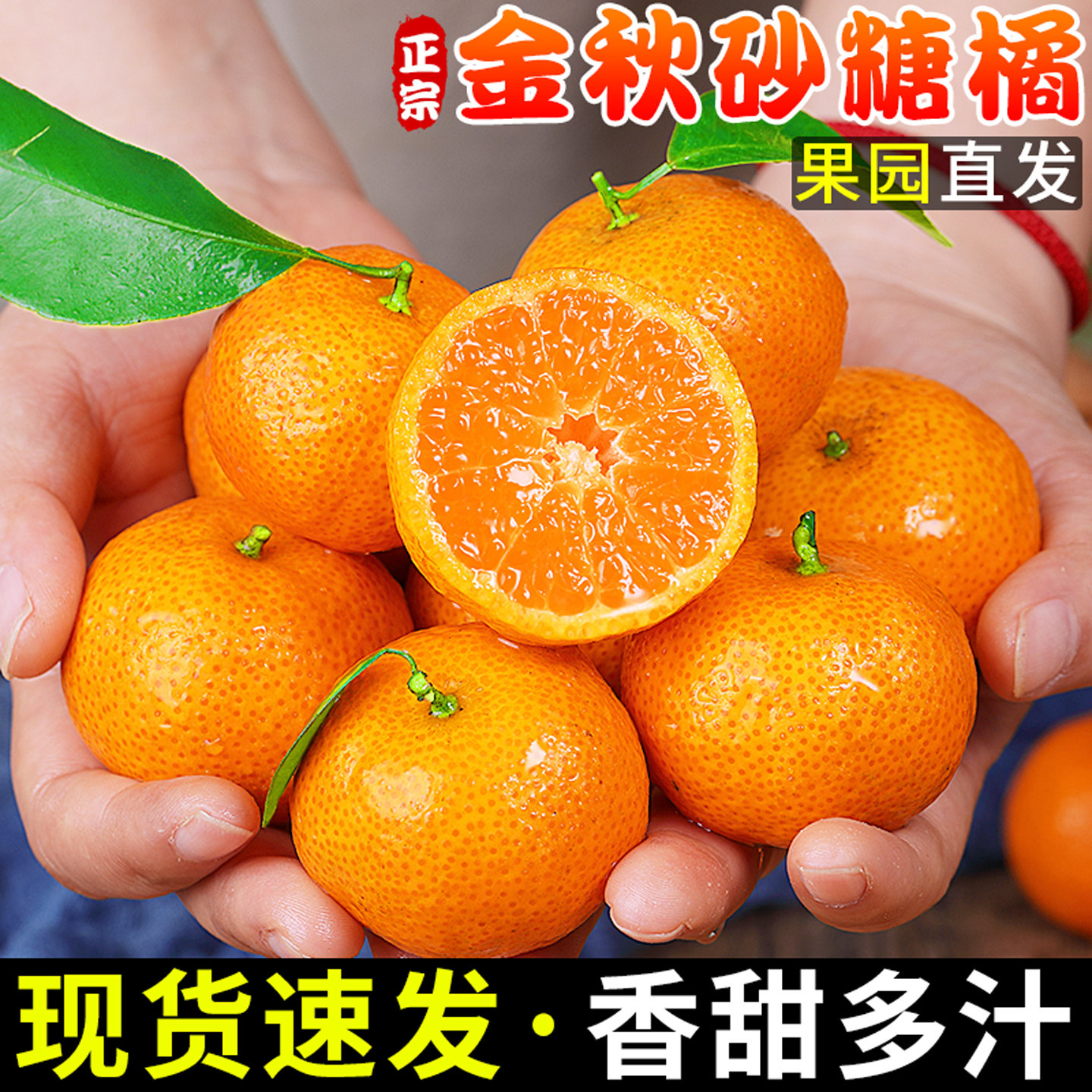 正宗金秋砂糖橘小桔子当季现摘新鲜水果薄皮柑橘蜜桔整箱时令包邮