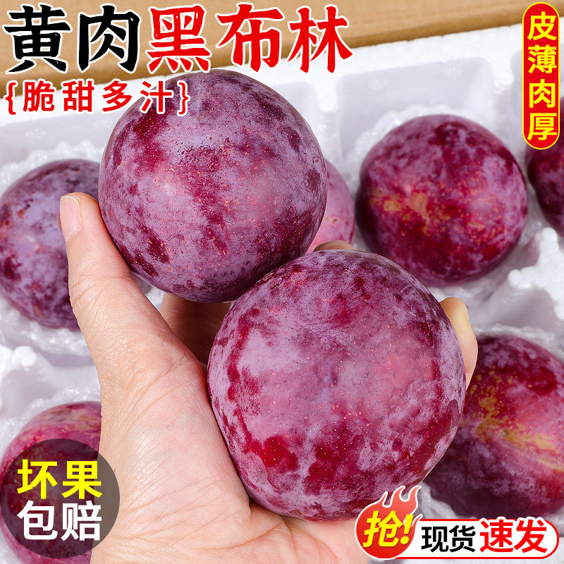 【现摘现发】黄肉黑布林李子!