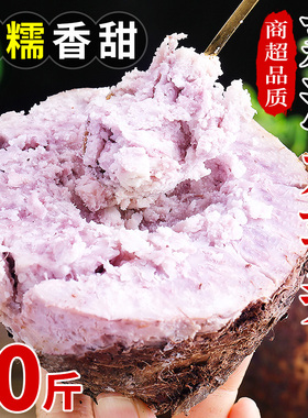 广西荔浦大芋头10斤新鲜现挖粉香芋正宗特产槟榔芋紫藤毛芋头整箱