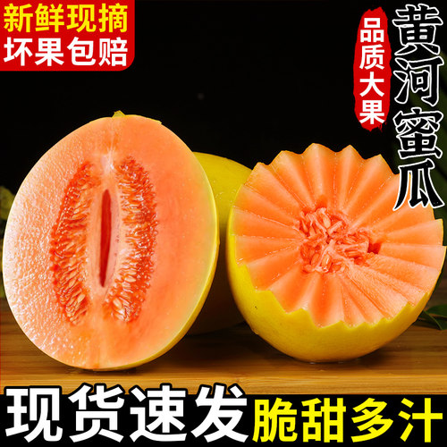 正宗民勤蜜瓜!脆甜可口!现摘现发