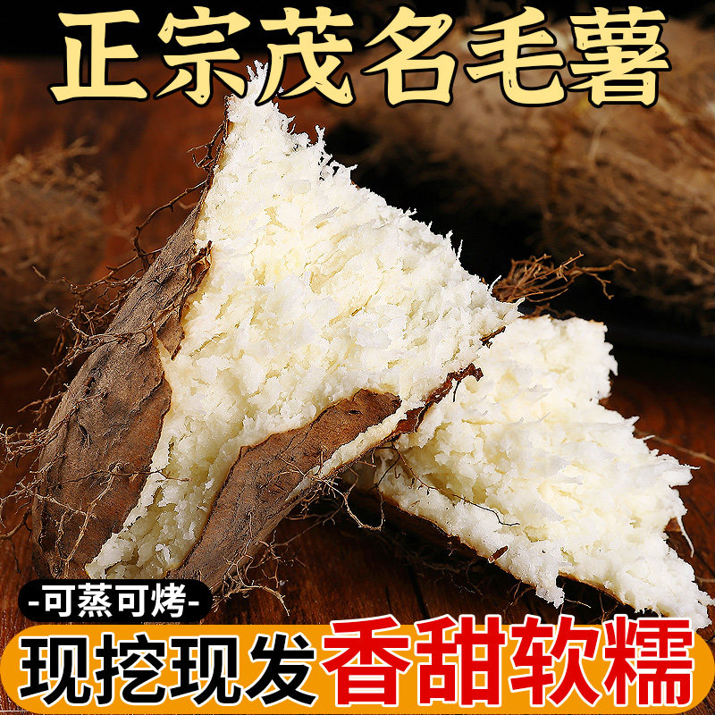 现挖丨新鲜茂名毛薯丨粉糯香甜