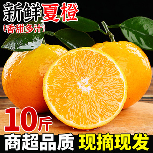 夏橙新鲜橙子当季水果10斤现摘整箱手剥脐橙果冻冰糖甜橙大果包邮