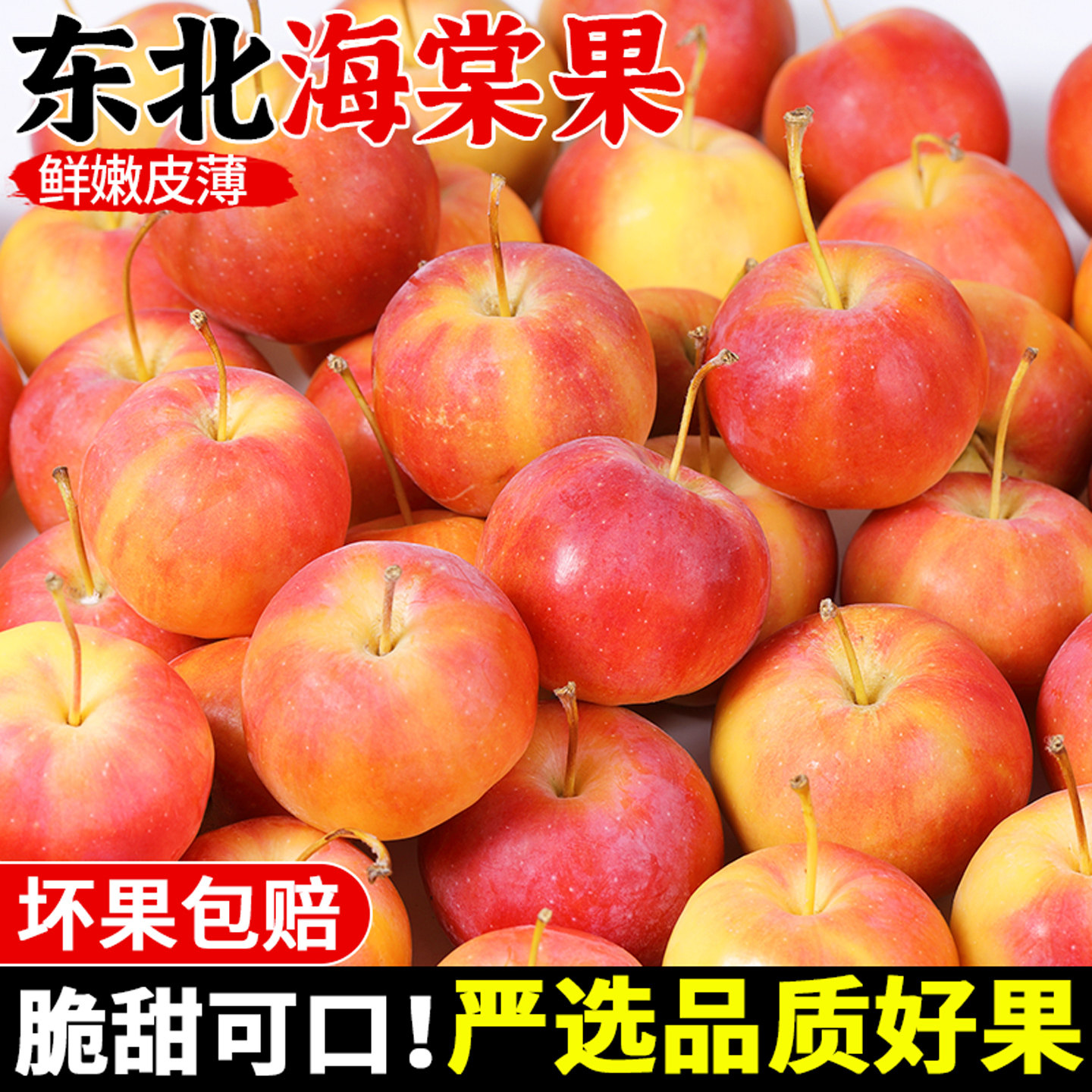 新鲜采摘!正宗东北海棠果!脆甜