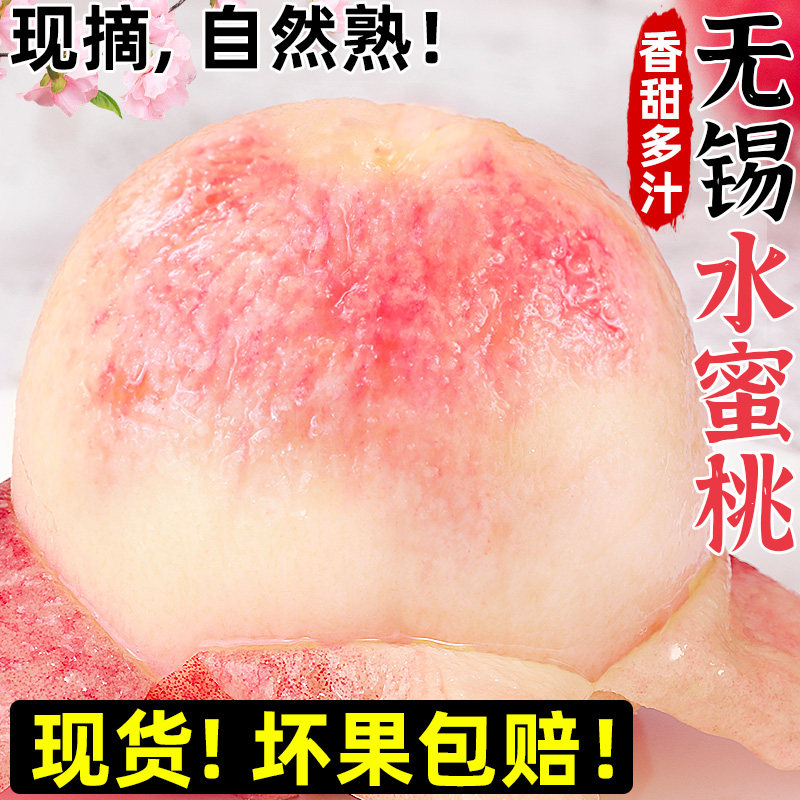 【现摘现发】正宗无锡水蜜桃!甜