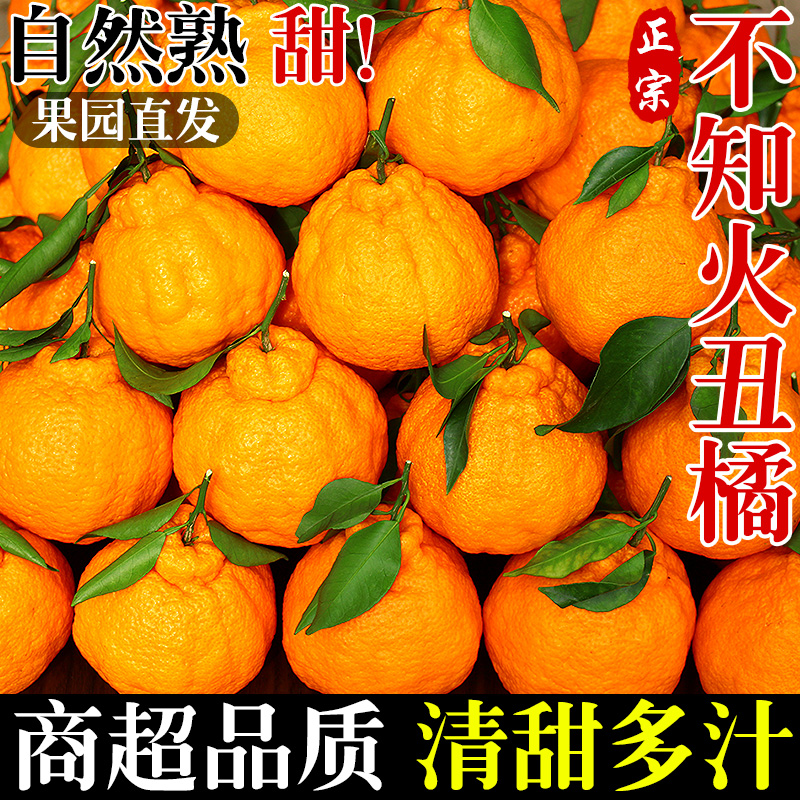【商超品质】正宗四川不知火丑橘