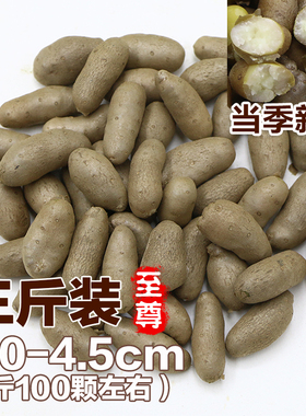 2026新鲜铁棍山药豆正宗铁杆淮山药小白嘴山药蛋山药种大号3斤装